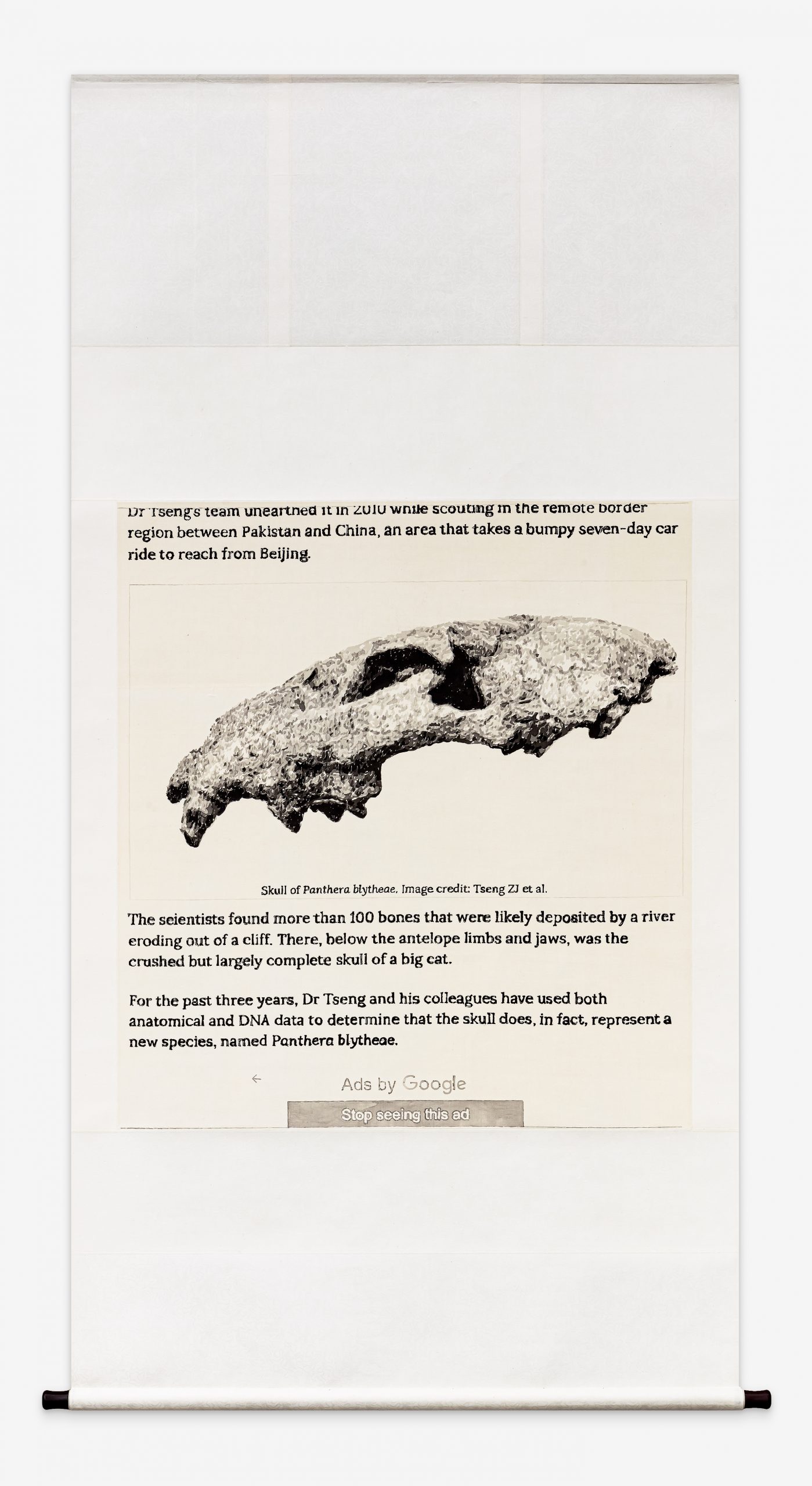 界面——龙担虎头骨– 徐震Xuzhen ART