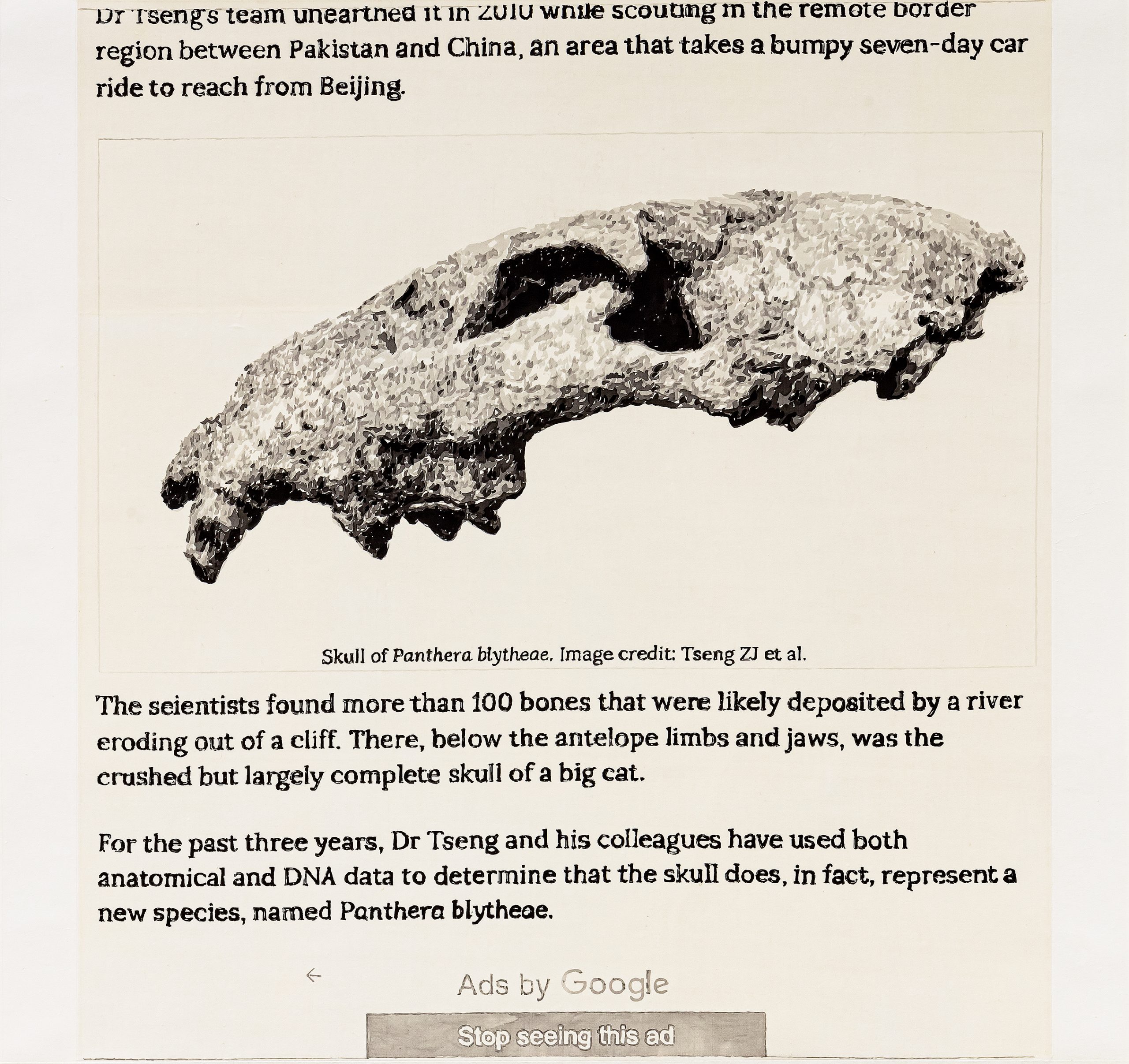 界面——龙担虎头骨– 徐震Xuzhen ART