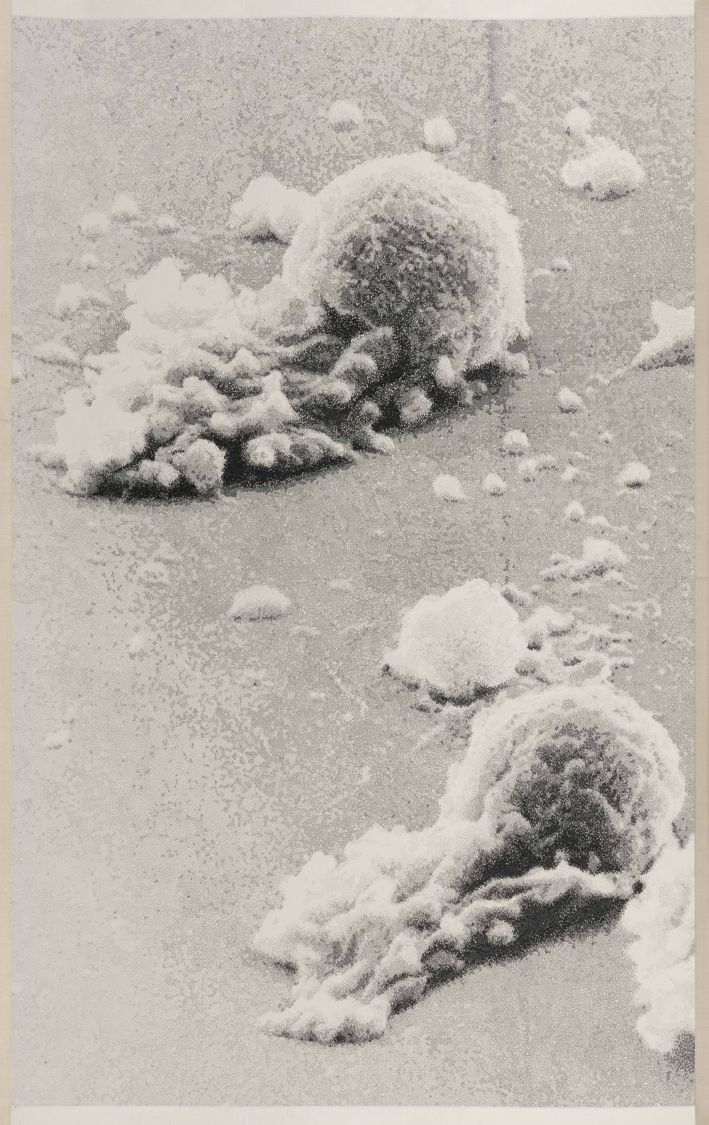 逍遥游 ( 放大 5000 倍 ) 202505