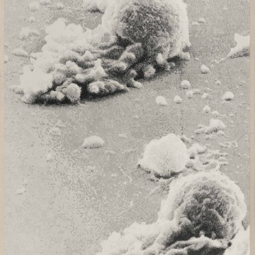 逍遥游 ( 放大 5000 倍 ) 202505