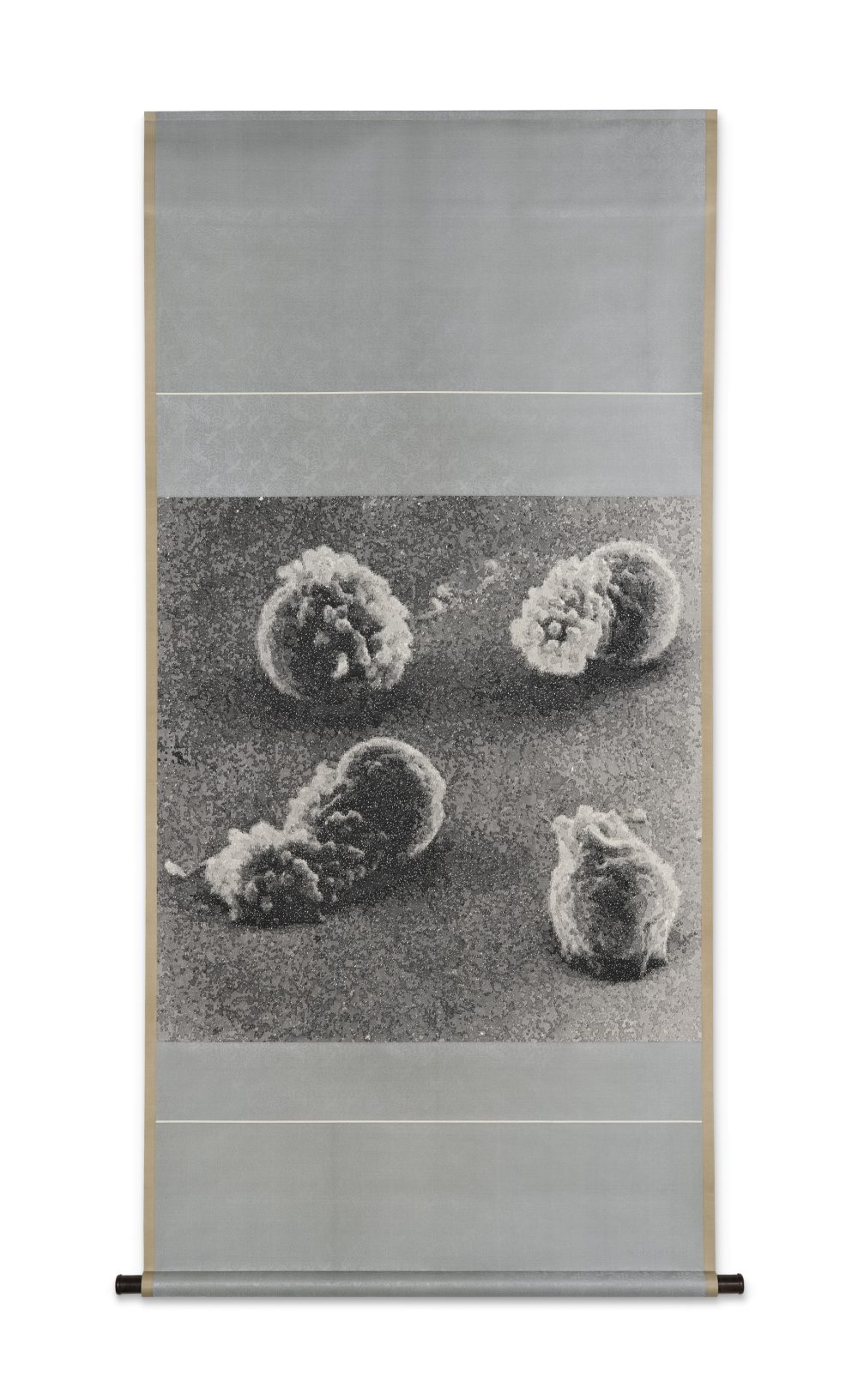 逍遥游 ( 放大 5000 倍 ), 202509