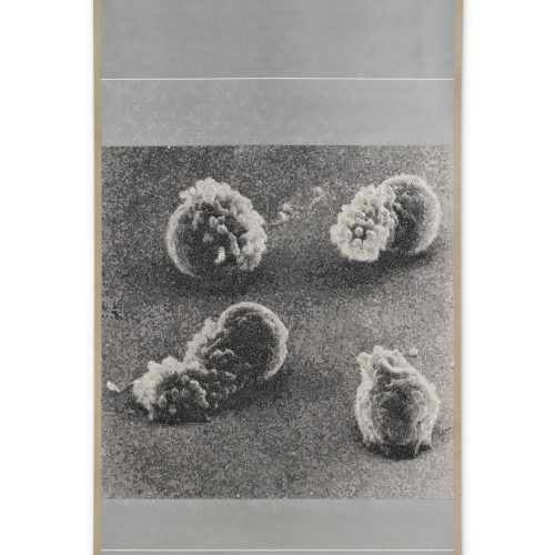 逍遥游 ( 放大 5000 倍 ), 202509